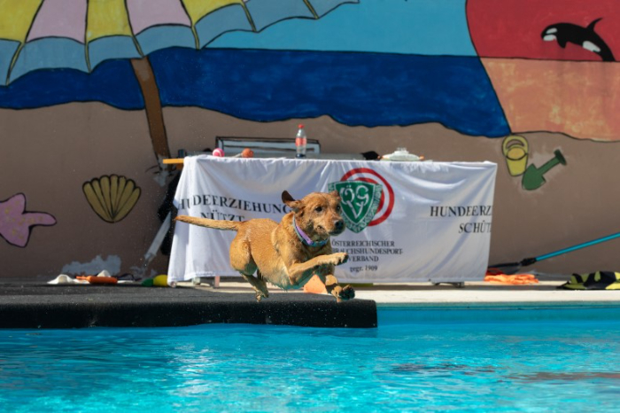 AA_Hundebadetage3_260924.jpg